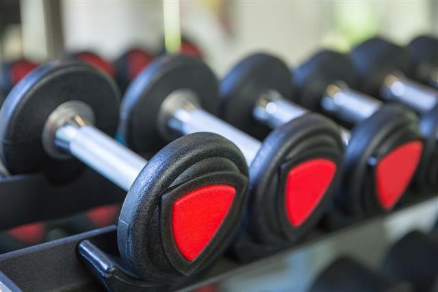 Dumbbell Placed In Row At Gym