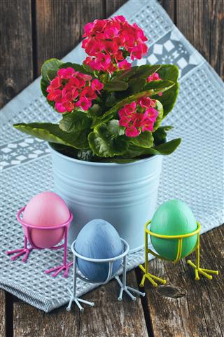 Painted Eggs With Pink Flower Kalanchoe
