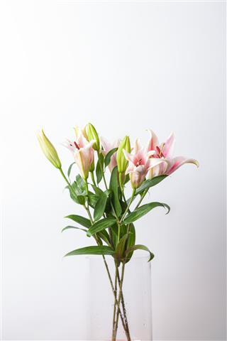 Lily Bouquet In Glass Vase