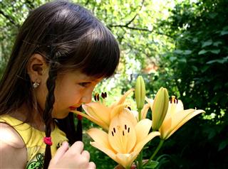 Girl And Lily