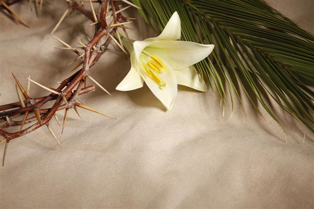 Palm And Easter Lily