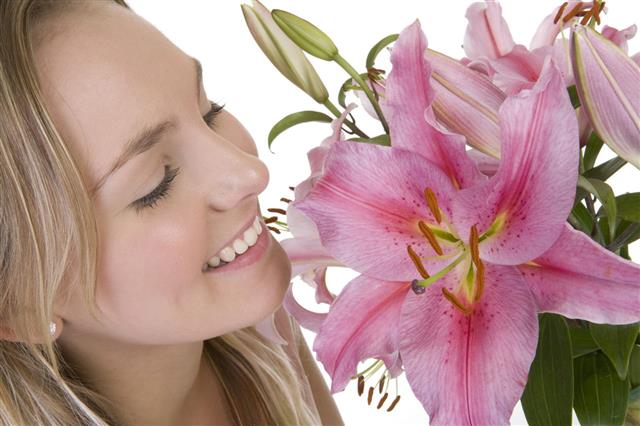 Woman Holding Pink Lily Flowers