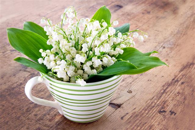 Bouquet Lily Of The Valley