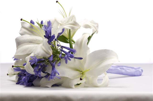 Bouquet Of White Lily