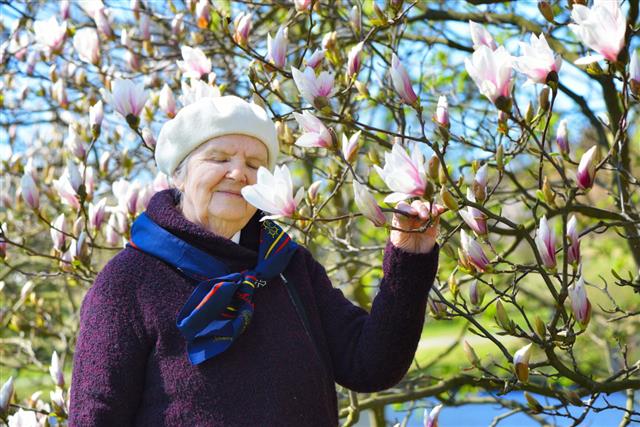 Senior Woman Smelling Magnolia