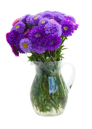 Bouquet Of Purple Aster Flowers