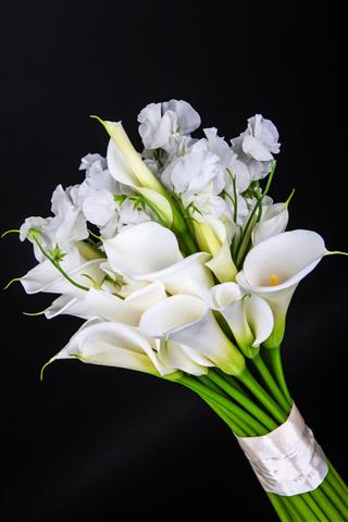 Bouquet Of White Calla Lilies And Eustoma