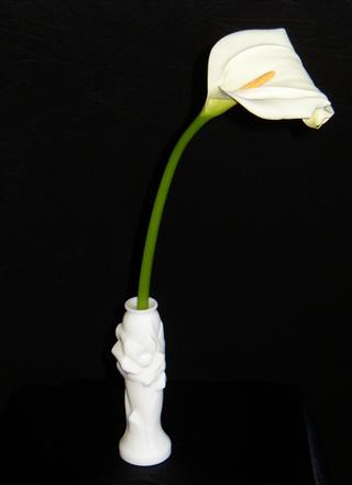 Calla Lily In White Vase