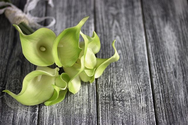 Bouquet Of Green Yellow Calla Lilies