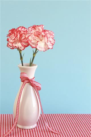 Red And White Carnations In Vase