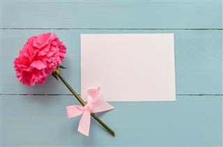 Blank Greeting Card With Pink Carnation