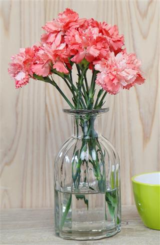 Bouquet Of Carnation In A Vase