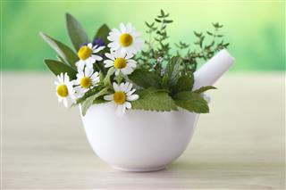 Chamomile Flowers And Herbs