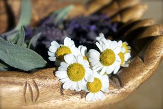 Chamomile Flowers And Other Natural Herbs