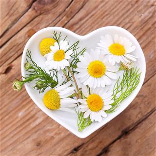 Homeopathy And Cooking With Chamomile