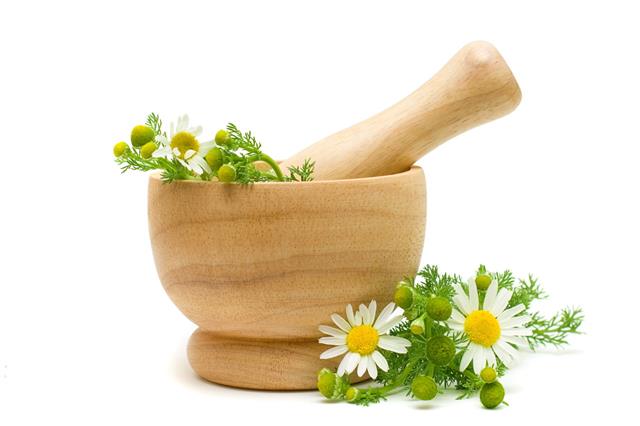Medicine Chamomile Flowers Herbal Treatment