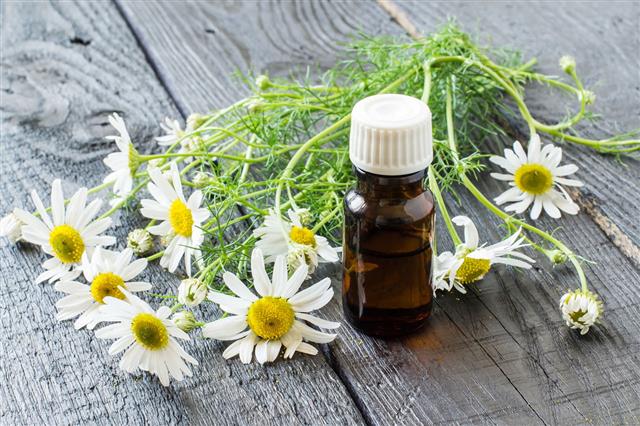Chamomile Essential Oil And Chamomile Flowers