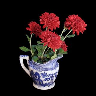 Red Chrysanthemum Flowers