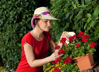 Gardener Woman Watering Plants