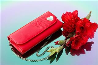 Red Purse With Gladiolus