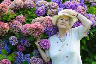 Old Woman With Flowers