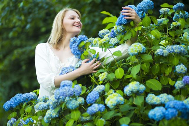 Smiling Woman And Blue Hydrangea