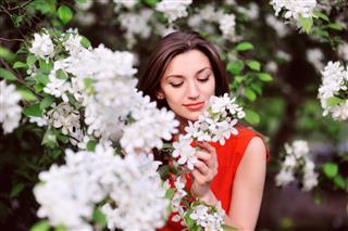 Beautiful Spring Girl With Flowers