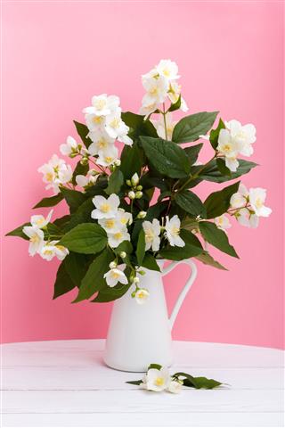 Fresh Jasmine Flowers In A Vase