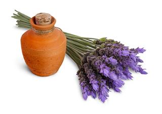 Essential Oil And Lavender Flowers
