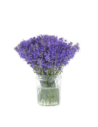 Bunch Of Lavender Flowers