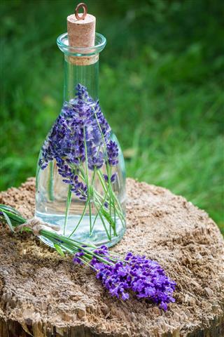 Healthy Tincture Made Of Lavender