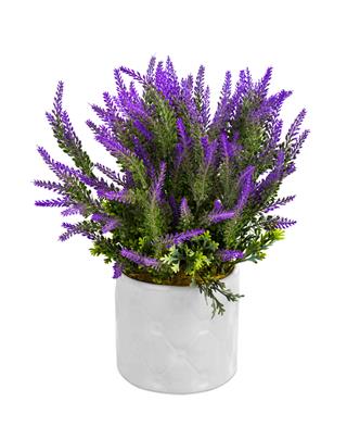 Lavender In Vase