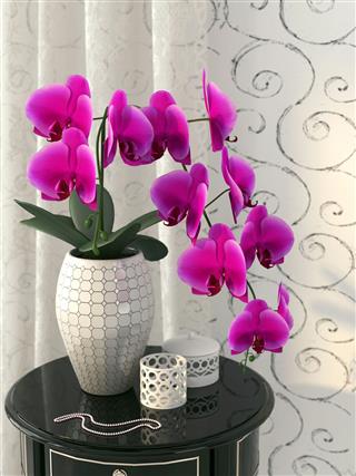 Pink Orchid On The Nightstand