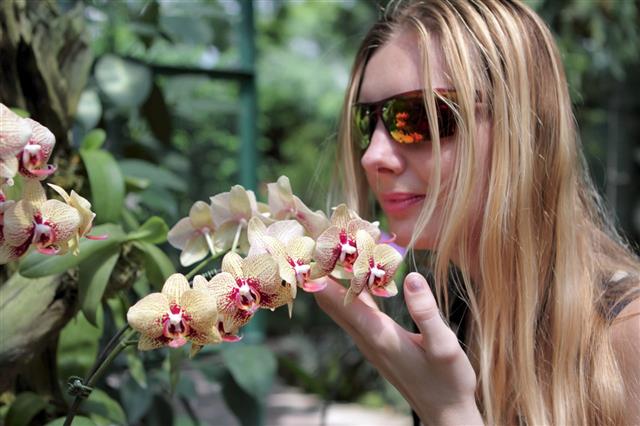 Woman Smelling A Marvelous Orchid