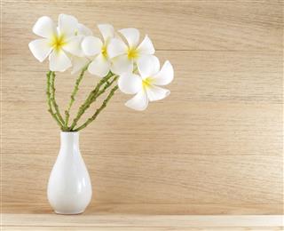 White Plumeria Flowers In Ceramic Vase
