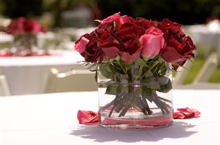 Centerpiece of Roses
