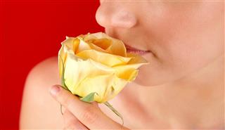 Girl smelling a rose