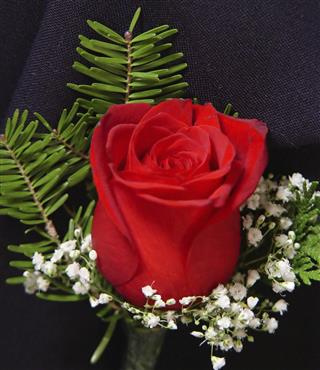 Boutonniere Rose