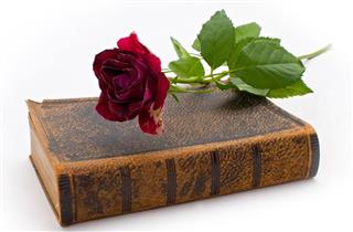 Very old book with dark red rose