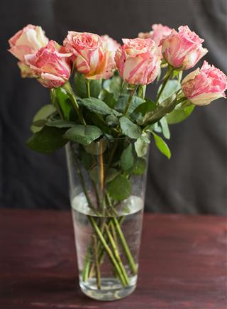 Beautiful Pink Rose Flowers In Vase