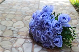 Bouquet of blue rose lying