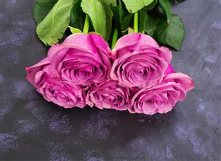 Bouquet of purple roses
