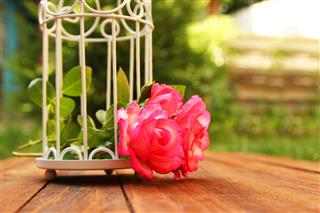 Decorative Cage With Flowers