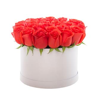 Red Roses In Flower Box