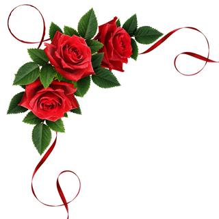 Red Rose Flowers And Silk Ribbon