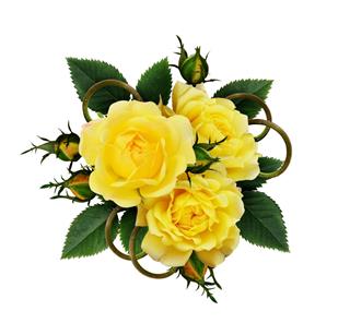 Yellow Rose Flowers Arrangement