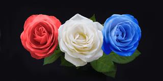 Symbolic Red White And Blue Roses
