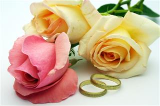 Rings And Rose