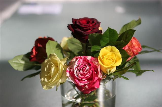 Bunch Of Roses In A Vase