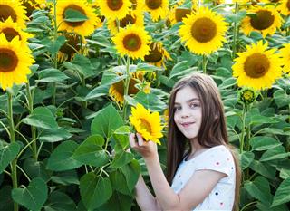 Girl On The Field Of Sunflowers